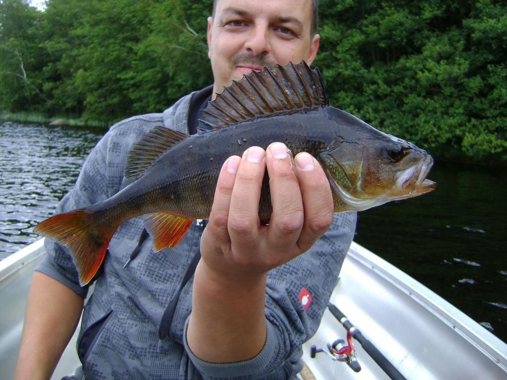 Wismens Natur & Fiske Krogsered Kültér fotó