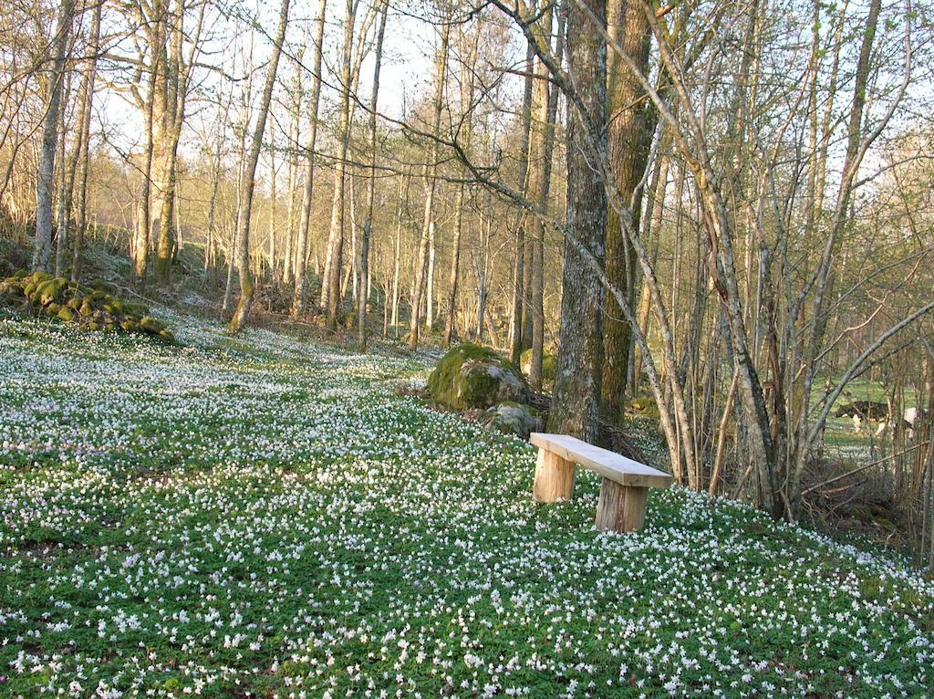 Wismens Natur & Fiske Krogsered Kültér fotó