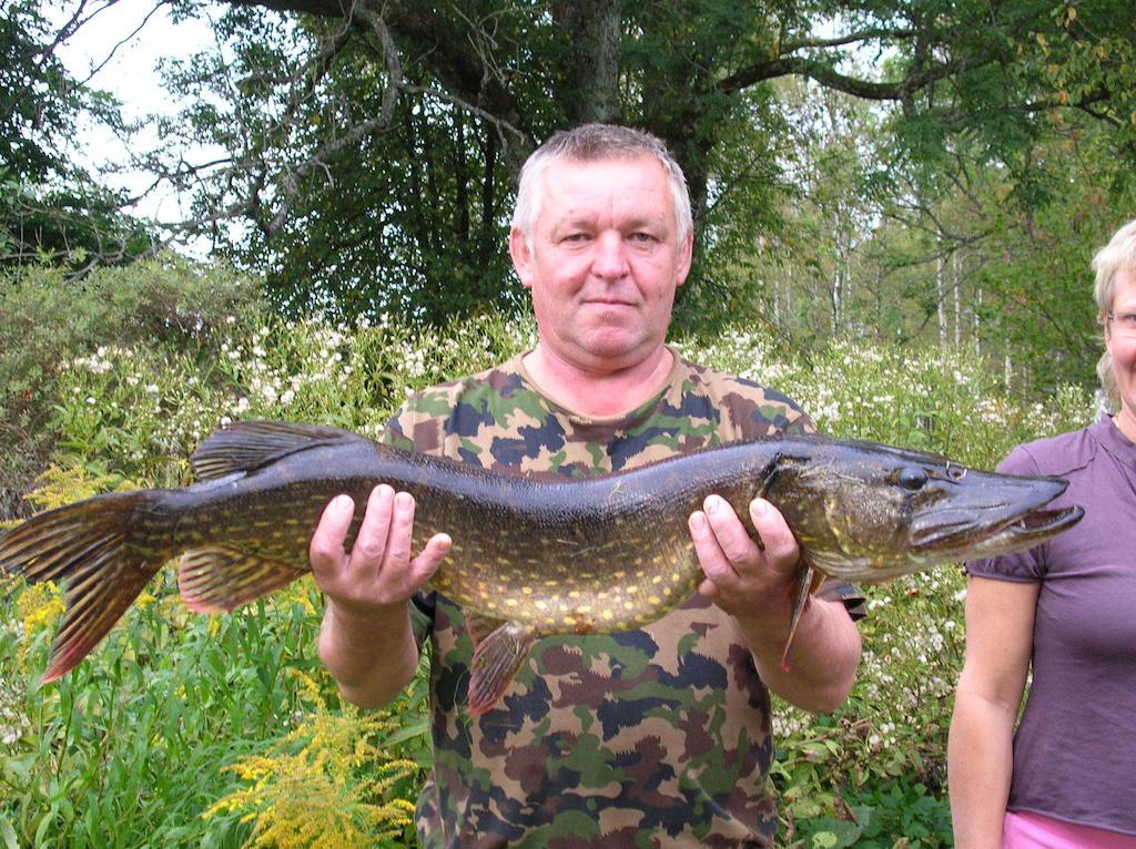Wismens Natur & Fiske Krogsered Kültér fotó