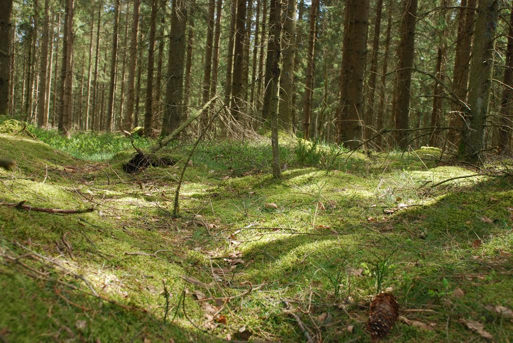 Wismens Natur & Fiske Krogsered Kültér fotó